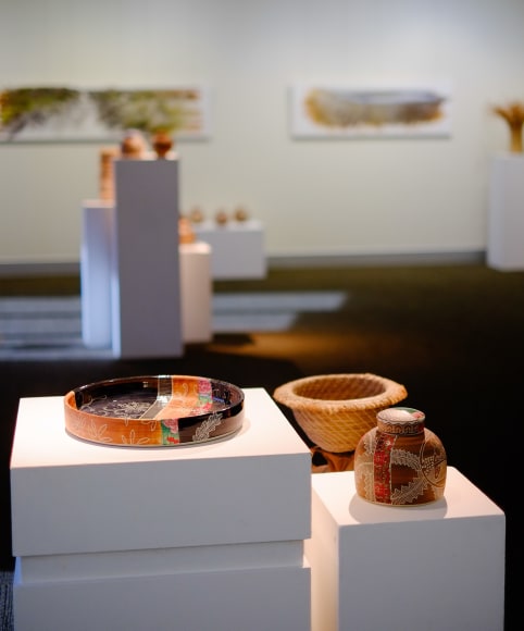 Bundjalung Heathland Installation View 2016 Lone Goat Gallery