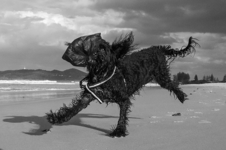 lone goat gallery byron bay Rob Scott-Mitchell