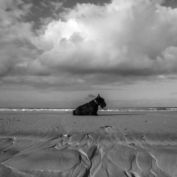 lone goat gallery byron bay Rob Scott-Mitchell