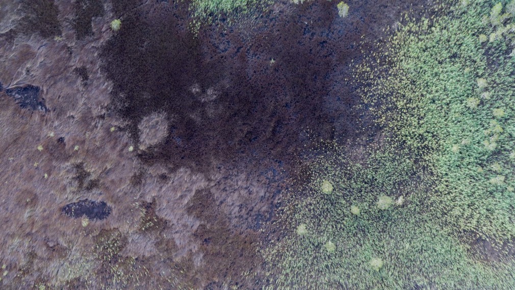 Stu Murphy, Part B, 2018, Aerial photo of wetlands near Grafton NSW