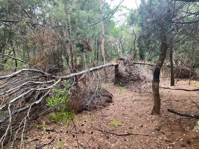 Mending &amp; Tending