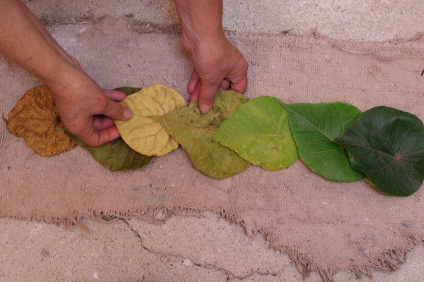 Mending &amp; Tending