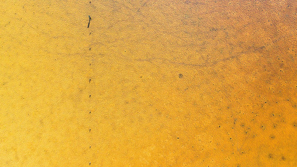 Stu Murphy, Hold the Phone, 2019, Aerial photo of wetlands near Grafton NSW