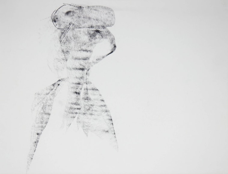 Philip Koplin, &quot;Facebook Image&quot;,