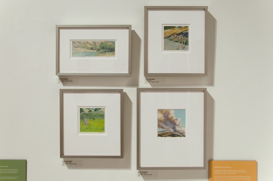 The River's Journey Installation photo, Nicole Strasburg