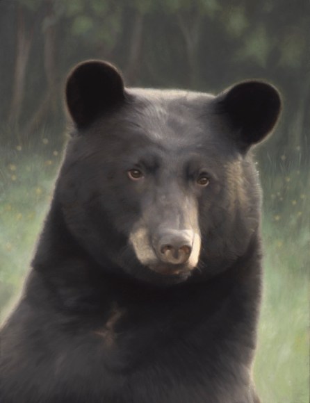 Susan McDonnell, Mr. Handsome, 2018