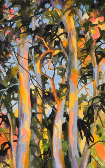 ROBIN GOWEN , Eucalyptus in Calico