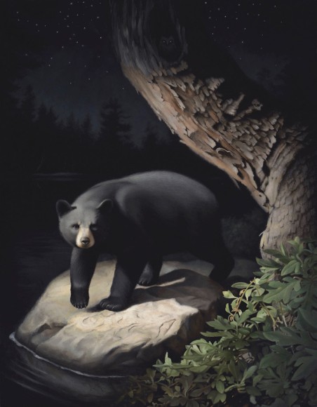 Susan McDonnell, North Star, 2018