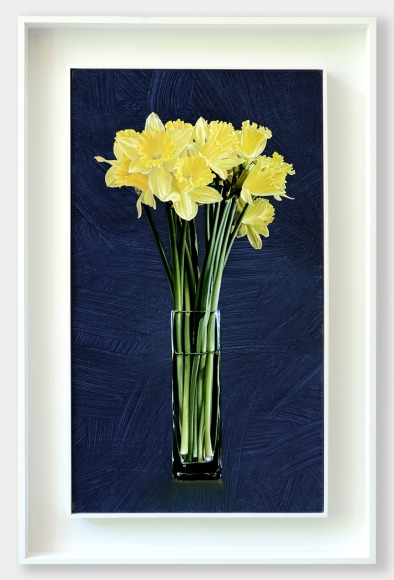 JOHN NAVA , Dafodils, 2022