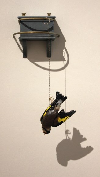 Chris Rupp , The Goldfinch (after Carel Fabritius), 2014