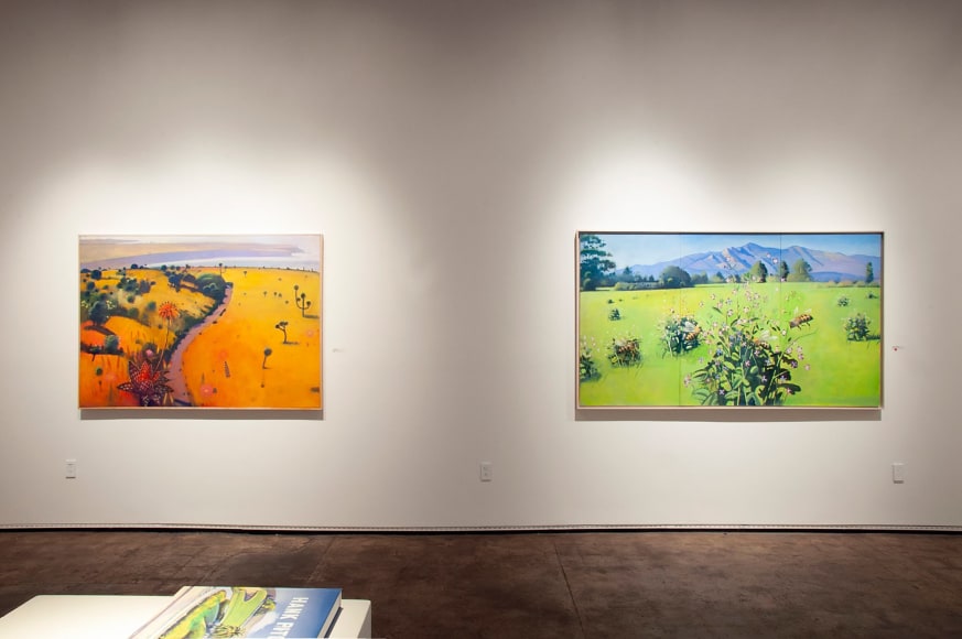 HANK PITCHER Primal installation shot