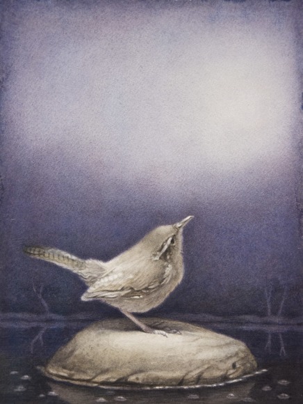 SUSAN McDONNELL, Wren, 2018