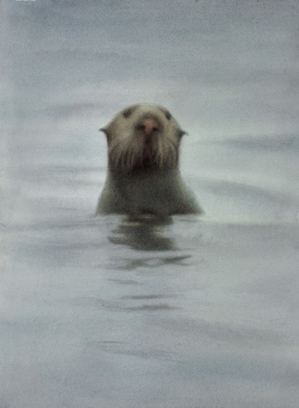 Susan McDonnell, The Otter, 2018