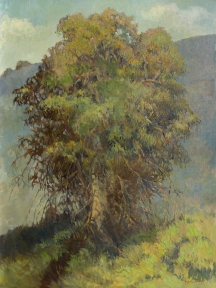 MEREDITH BROOKS ABBOTT, The Eucalyptus, 2019