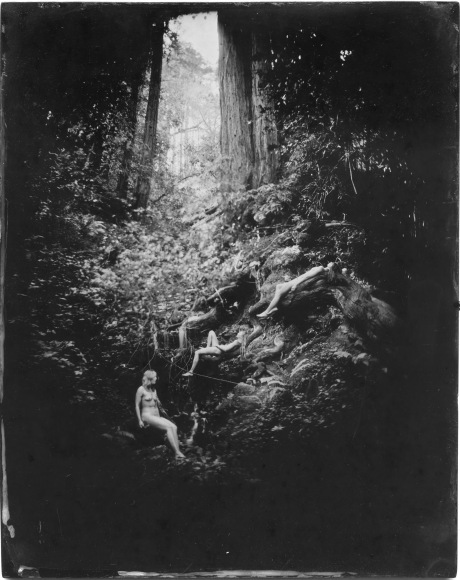 LINDSEY ROSS , Nymphs in Narnia II, 2017