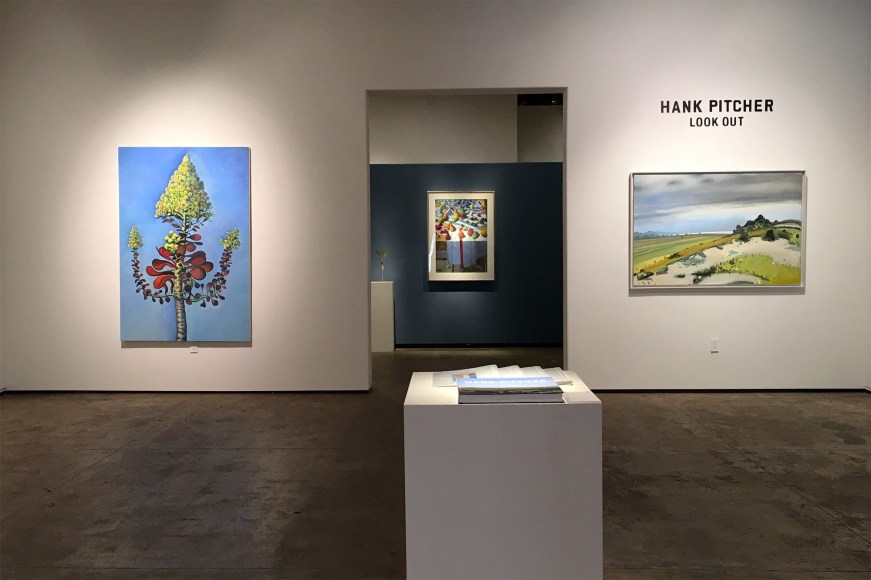 Hank Pitcher Look Out Installation Photo