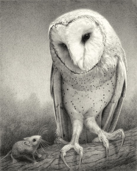 SUSAN MCDONNELL, Benevolent Owl, 2019
