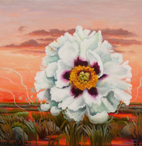 PHOEBE BRUNNER, Heartbeat