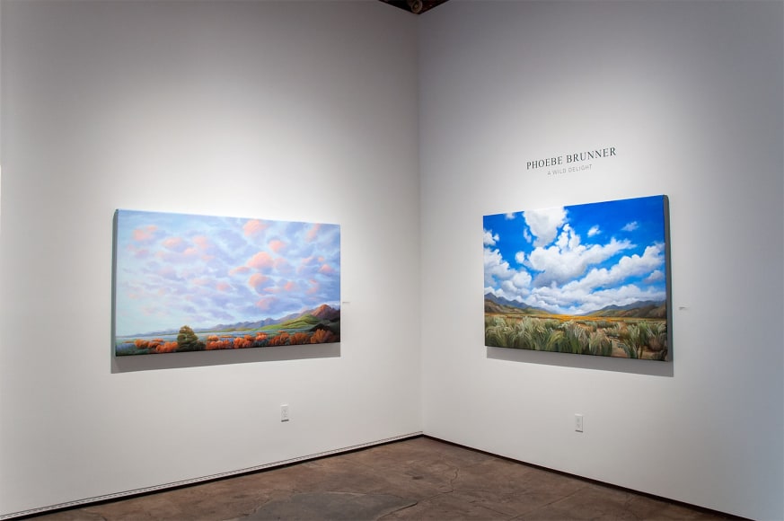 Installation photograph of PHOEBE BRUNNER: A Wild Delight with Coming Home and The Persistence of Undeniable Beauty