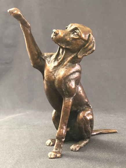 RUTHY GREEN , Cookie Please, 2019