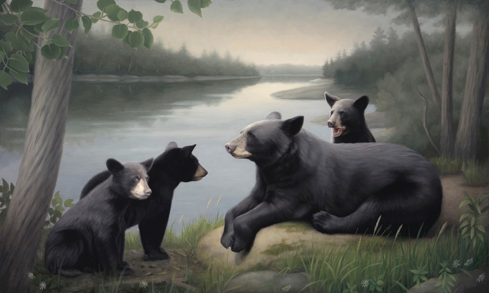 Susan McDonnell, Mama Bear, 2018