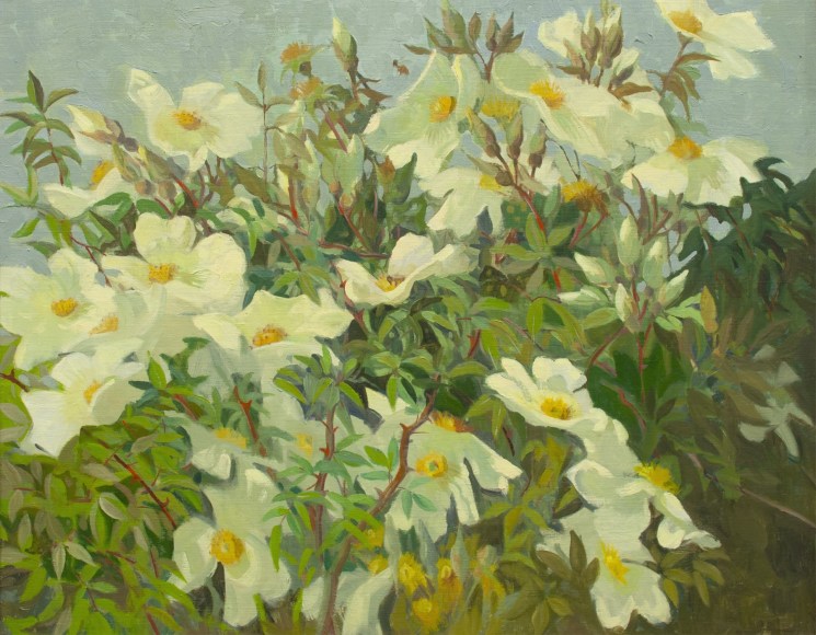 MEREDITH BROOKS ABBOTT, Wild Rose, 2012