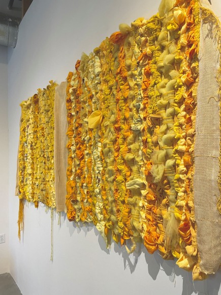 DOMINGA OPAZO PAVEZ, Plenty, 2021