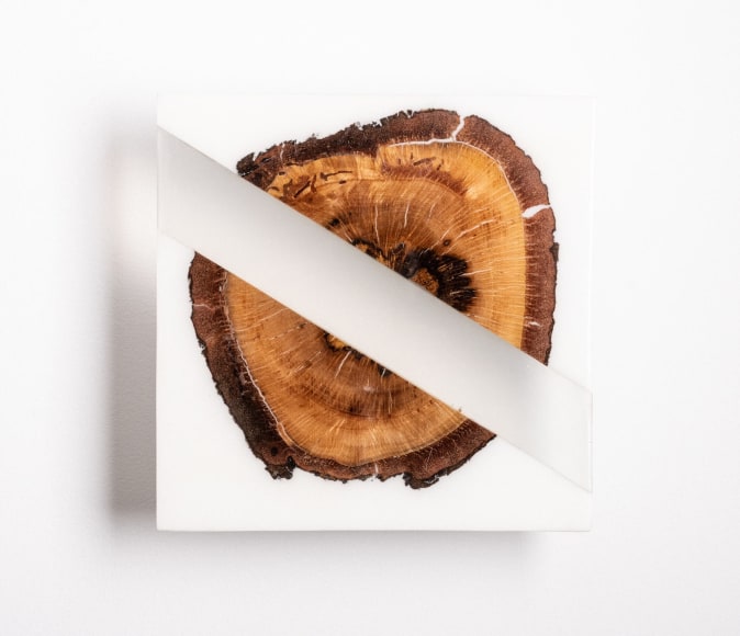 R. NELSON PARRISH , Vista IV - C, 2021