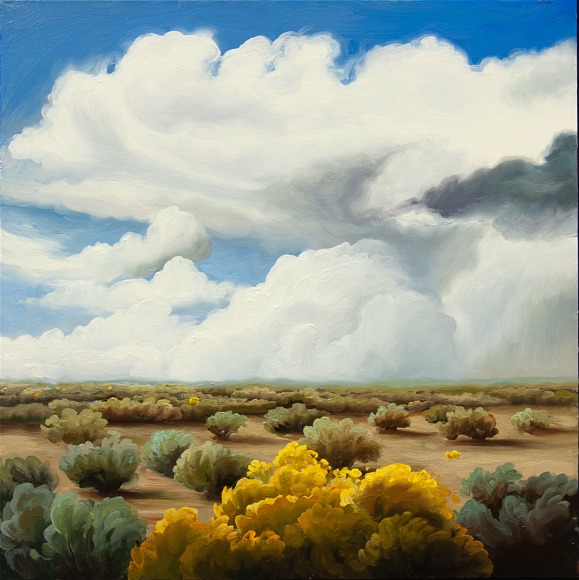 PHOEBE BRUNNER , Desert Cloud, Desert Sage, 2019
