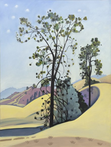 HANK PITCHER , Sedgwick, Digger Pine, 2007