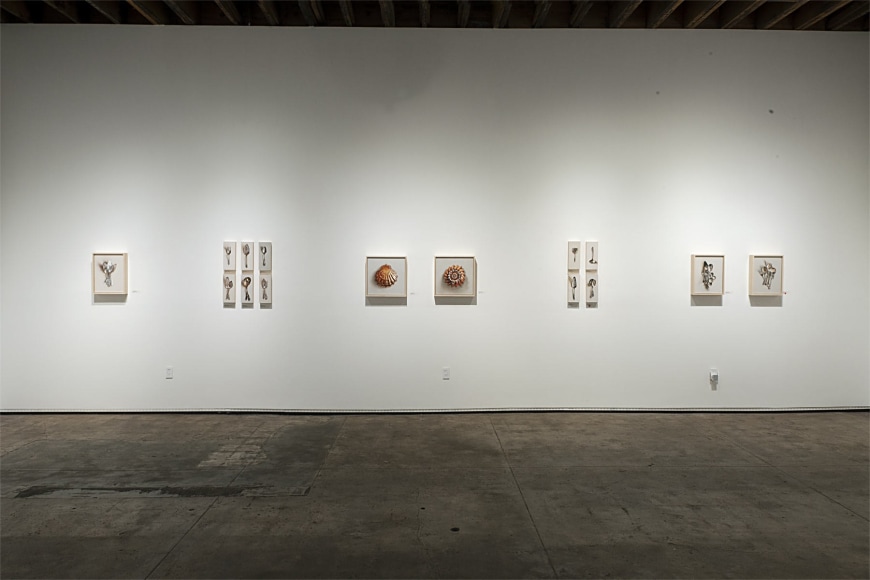 Installation photograph of LESLIE LEWIS SIGLER: Potluck, 2022