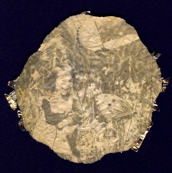 MONICA WIESBLOTT , She Gave All the Butterflies Kisses, 2023