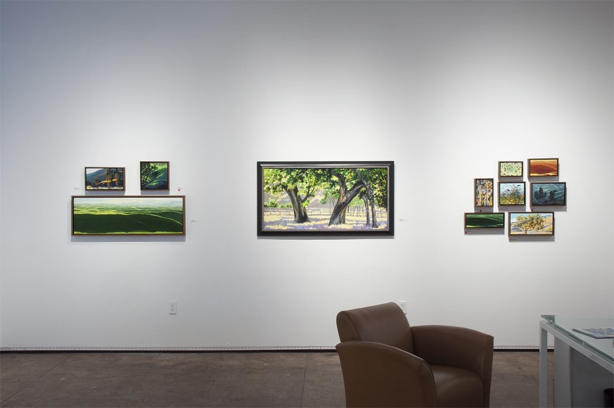 Installation photograph of ROBIN GOWEN: Sight Lines, 2021