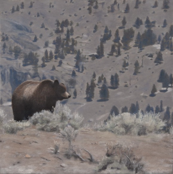 Pamela Kendall Schiffer , Afternoon, Yellowstone, 2018