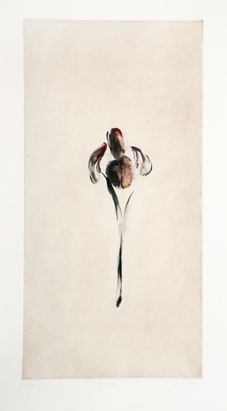 JOSEPH GOLDYNE , Iris, 1999