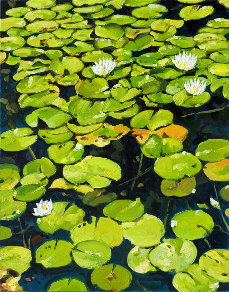 JOHN NAVA , NS Water Lillies, 2022