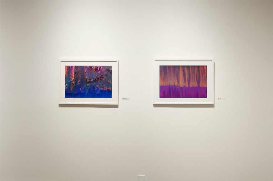 Installation photograph of THE INCREDIBLE TRUE STORY OF HARVEY LEEPA