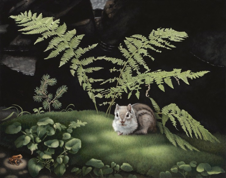 Susan McDonnell, Toad, 2018