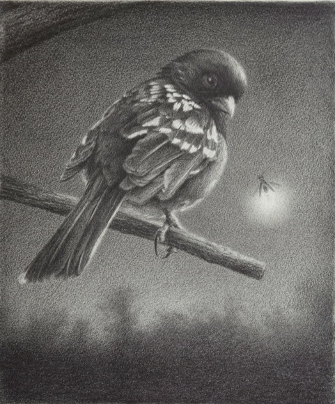 SUSAN MCDONNELL, Towhee and Firefly, 2020