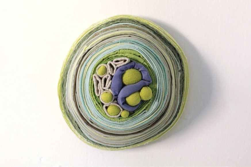 SOMMER ROMAN, Ormosia, 2011