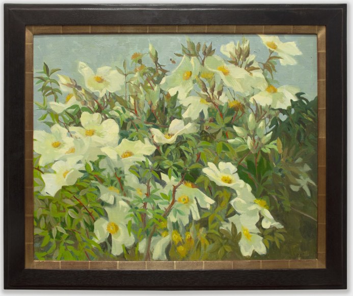 MEREDITH BROOKS ABBOTT, Wild Rose, 2012