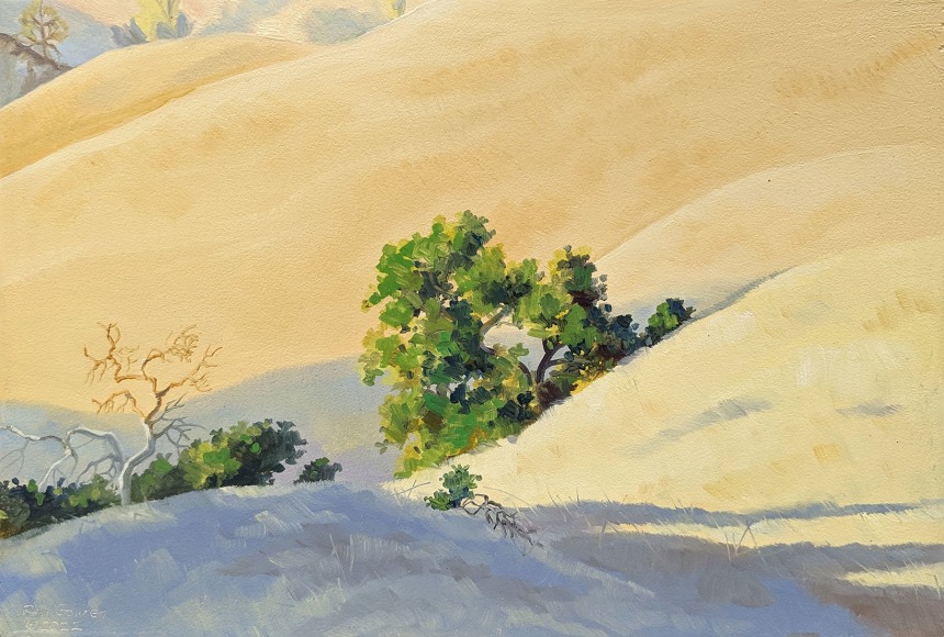 ROBIN  GOWEN , Slopes and Shadows, 2022