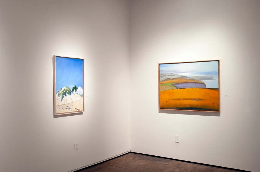 HANK PITCHER Primal installation shot