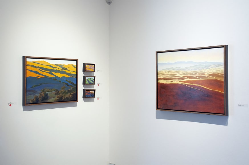 Installation photograph of ROBIN GOWEN: Sight Lines, 2021