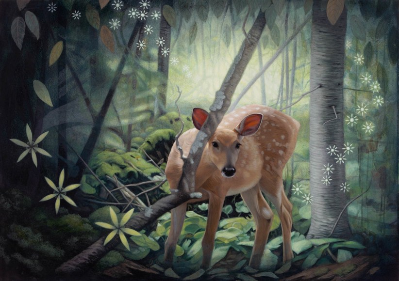 Susan McDonnell, Fawn, 2015