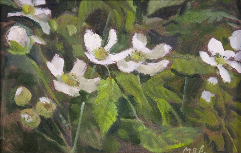 MEREDITH BROOKS ABBOTT, Blackberry Blossoms - Study, 2019