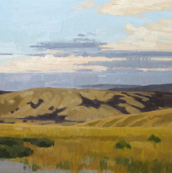 Nicole Strasburg, Grapevine 3, October 2015
