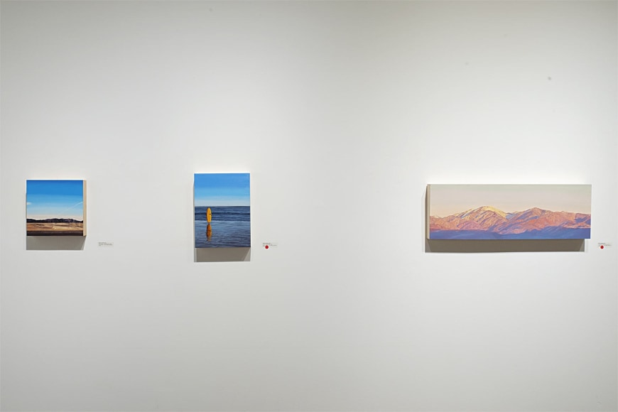 Installation photograph of MARY-AUSTIN KLEIN: Airlight, 2022