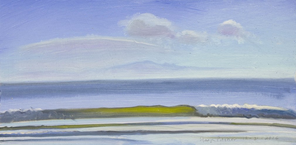 Hank Pitcher, 12-31-2016, 2016