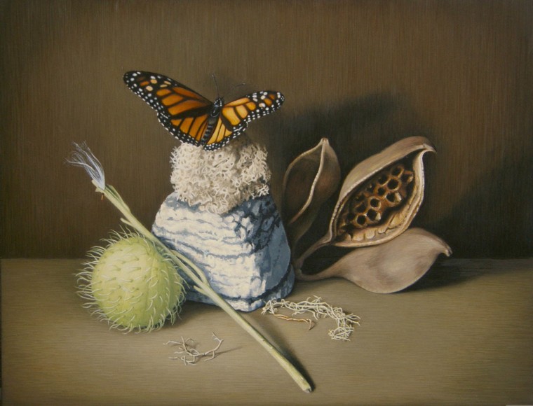 Susan McDonnell, Monarch and Milkweed, 2015